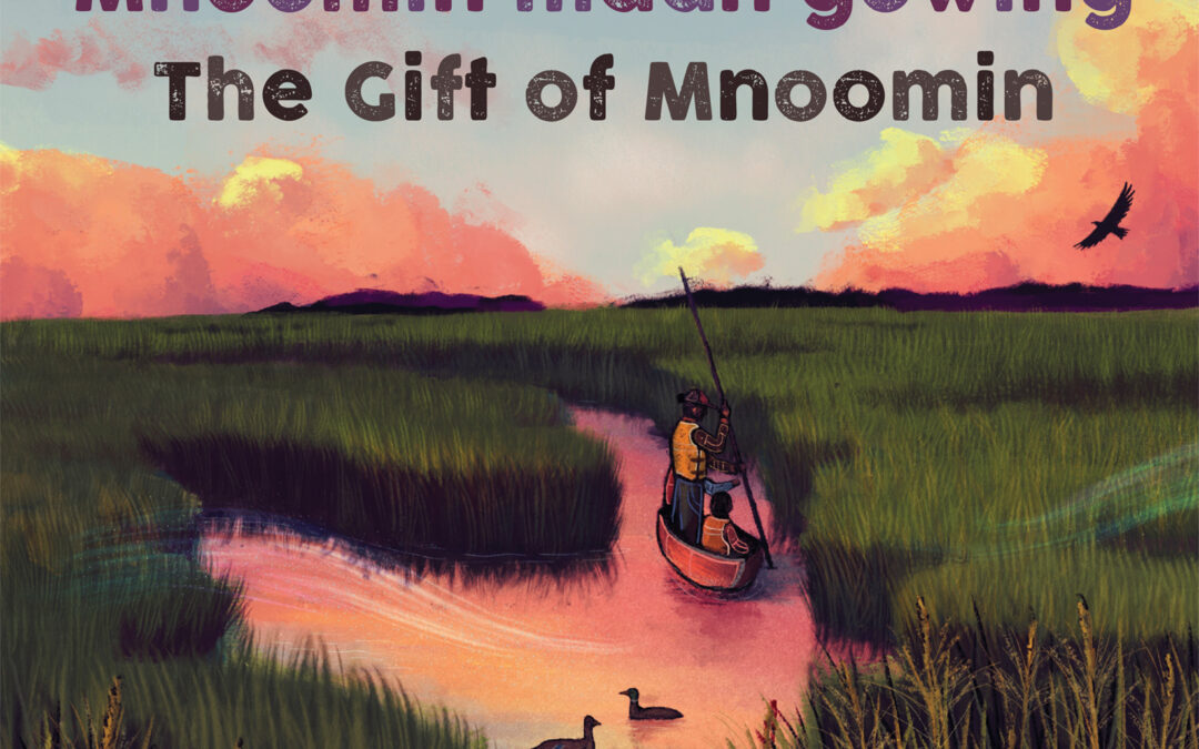 Mnoomin maan’gowing / The Gift of Mnoomin